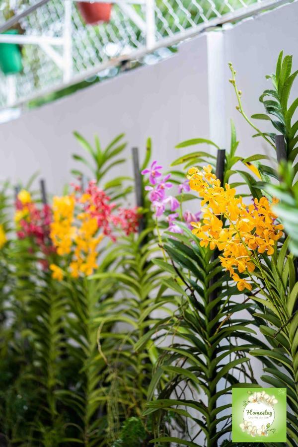 Can Tho Orchid Garden Homestay Eksteriør billede